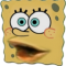 crashkoala